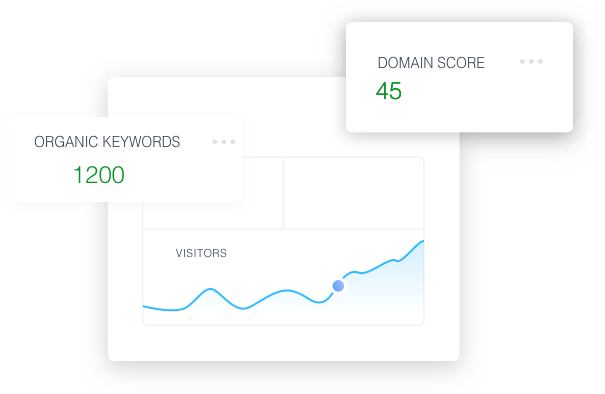 Website analysis with domain score.